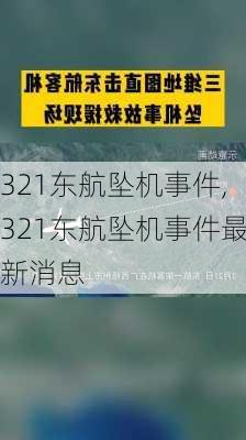 321东航坠机事件,321东航坠机事件最新消息