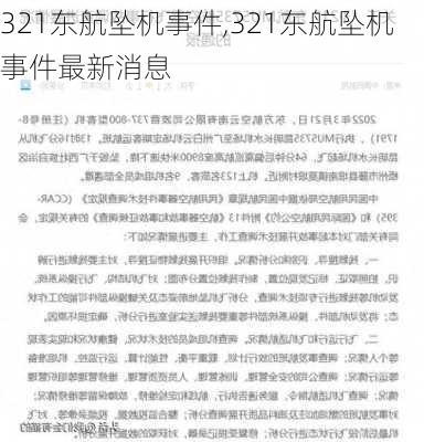 321东航坠机事件,321东航坠机事件最新消息