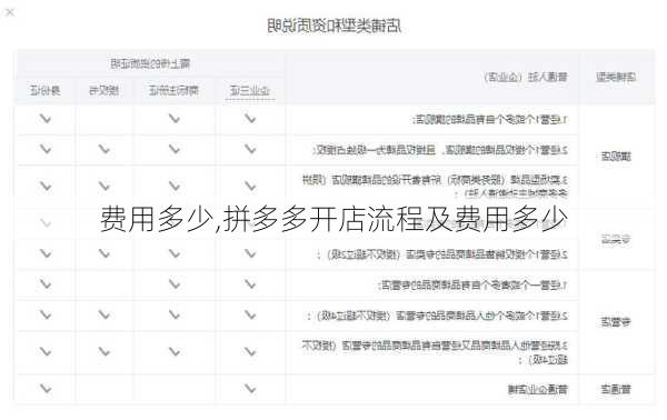 费用多少,拼多多开店流程及费用多少