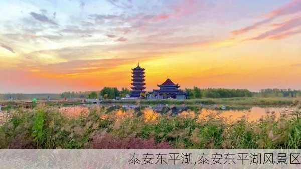 泰安东平湖,泰安东平湖风景区