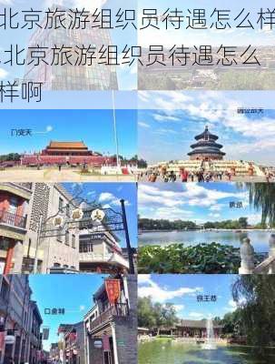 北京旅游组织员待遇怎么样,北京旅游组织员待遇怎么样啊