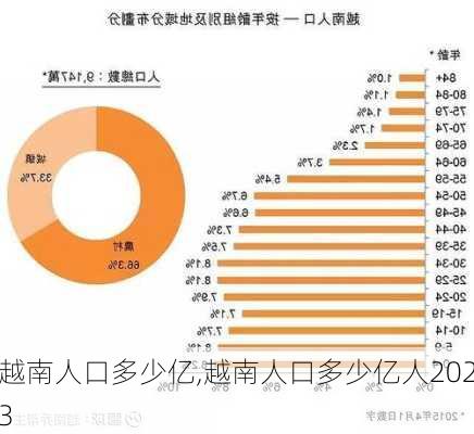 越南人口多少亿,越南人口多少亿人2023