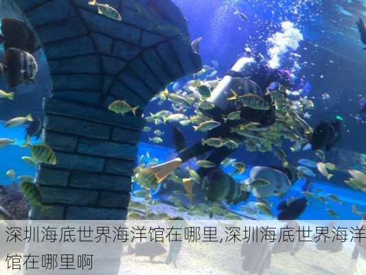 深圳海底世界海洋馆在哪里,深圳海底世界海洋馆在哪里啊