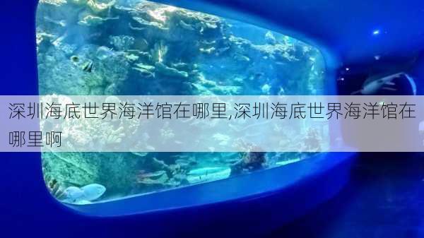 深圳海底世界海洋馆在哪里,深圳海底世界海洋馆在哪里啊