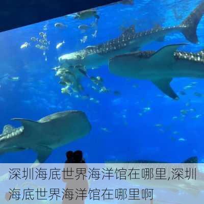 深圳海底世界海洋馆在哪里,深圳海底世界海洋馆在哪里啊