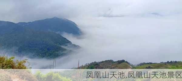 凤凰山天池,凤凰山天池景区