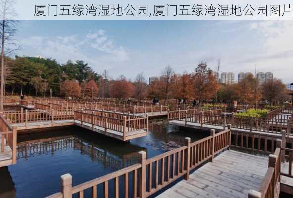 厦门五缘湾湿地公园,厦门五缘湾湿地公园图片