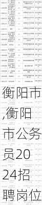 衡阳市,衡阳市公务员2024招聘岗位