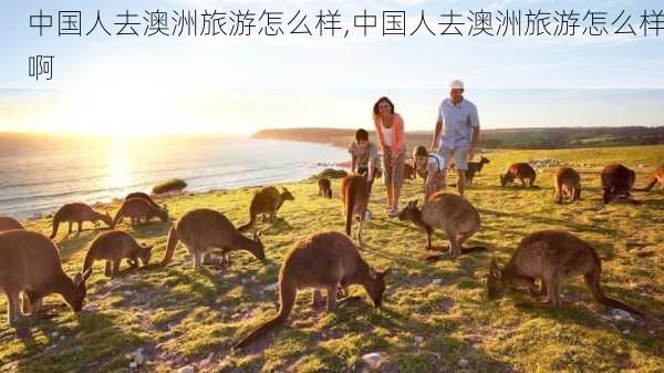 中国人去澳洲旅游怎么样,中国人去澳洲旅游怎么样啊