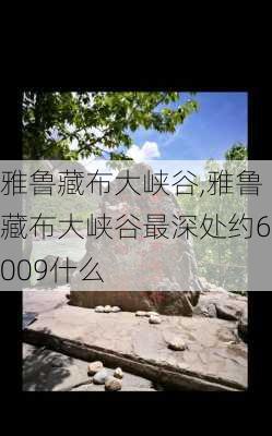 雅鲁藏布大峡谷,雅鲁藏布大峡谷最深处约6009什么