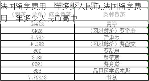 法国留学费用一年多少人民币,法国留学费用一年多少人民币高中