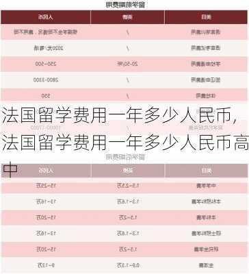 法国留学费用一年多少人民币,法国留学费用一年多少人民币高中