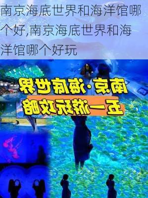 南京海底世界和海洋馆哪个好,南京海底世界和海洋馆哪个好玩