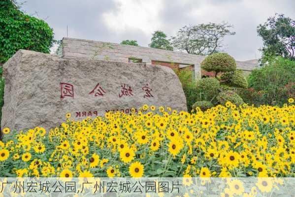 广州宏城公园,广州宏城公园图片