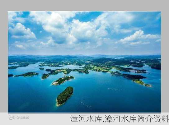 漳河水库,漳河水库简介资料