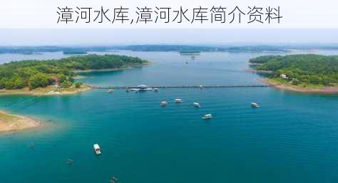 漳河水库,漳河水库简介资料