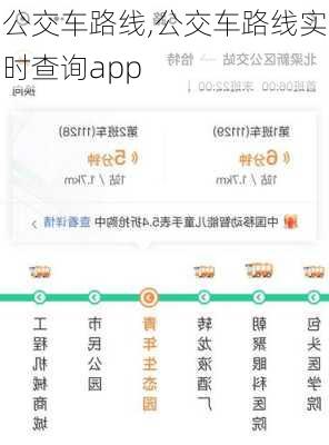 公交车路线,公交车路线实时查询app