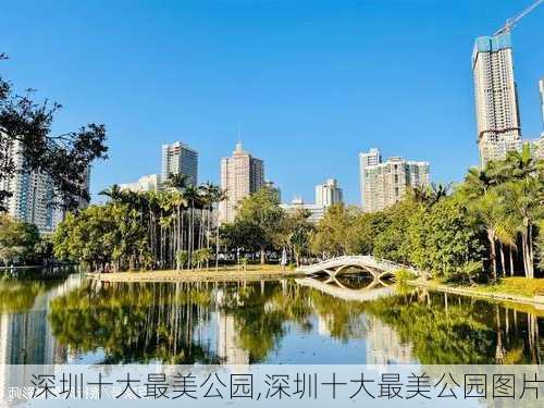 深圳十大最美公园,深圳十大最美公园图片