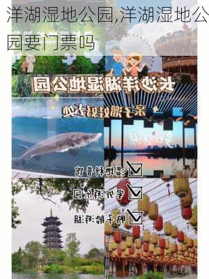 洋湖湿地公园,洋湖湿地公园要门票吗