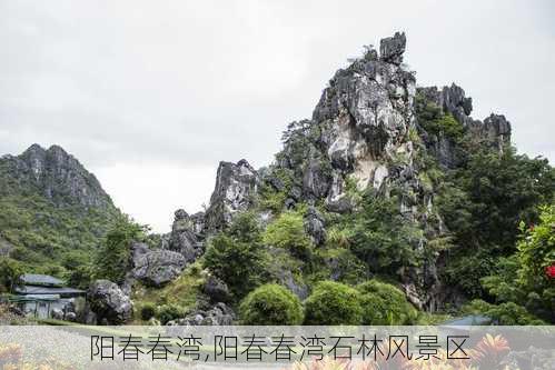 阳春春湾,阳春春湾石林风景区