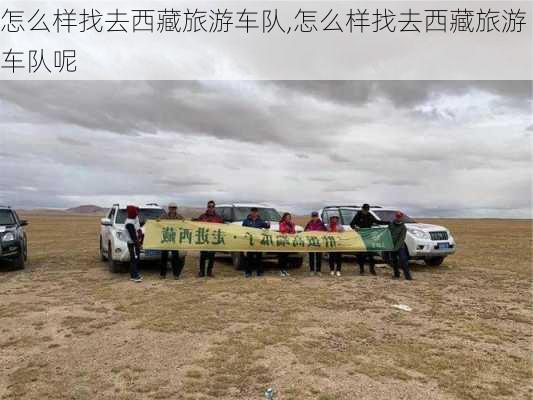 怎么样找去西藏旅游车队,怎么样找去西藏旅游车队呢