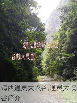 靖西通灵大峡谷,通灵大峡谷简介