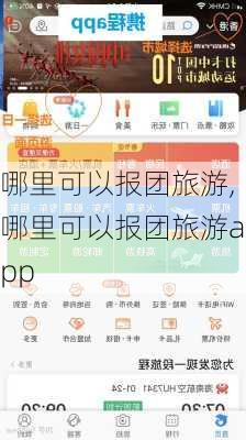 哪里可以报团旅游,哪里可以报团旅游app