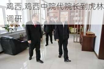 鸡西,鸡西中院代院长到虎林调研