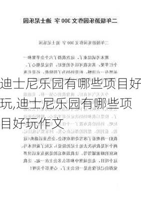 迪士尼乐园有哪些项目好玩,迪士尼乐园有哪些项目好玩作文