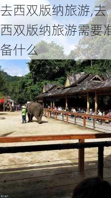 去西双版纳旅游,去西双版纳旅游需要准备什么