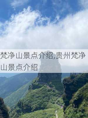 梵净山景点介绍,贵州梵净山景点介绍