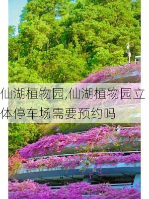 仙湖植物园,仙湖植物园立体停车场需要预约吗