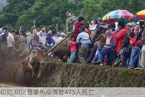 印尼,印尼登革热疫情致475人死亡