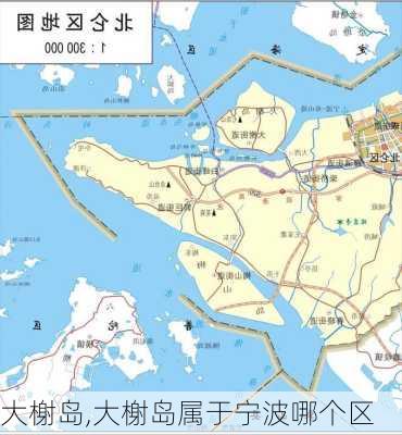 大榭岛,大榭岛属于宁波哪个区