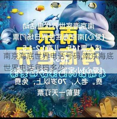 南京海底世界电话号码,南京海底世界电话号码多少