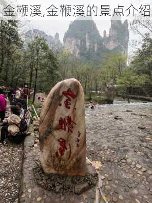 金鞭溪,金鞭溪的景点介绍