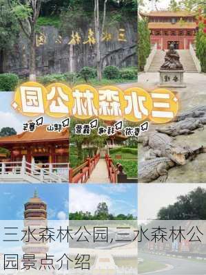 三水森林公园,三水森林公园景点介绍