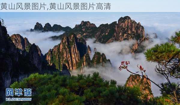 黄山风景图片,黄山风景图片高清