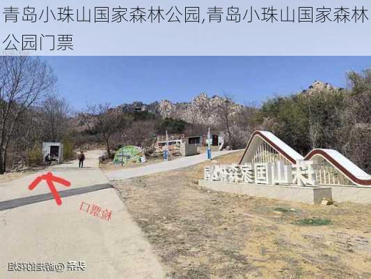 青岛小珠山国家森林公园,青岛小珠山国家森林公园门票