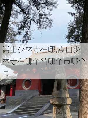 嵩山少林寺在哪,嵩山少林寺在哪个省哪个市哪个县