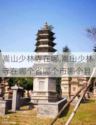 嵩山少林寺在哪,嵩山少林寺在哪个省哪个市哪个县