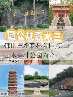 佛山三水森林公园,佛山三水森林公园简介