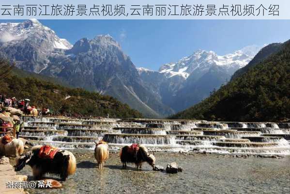 云南丽江旅游景点视频,云南丽江旅游景点视频介绍