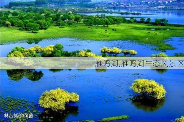 雁鸣湖,雁鸣湖生态风景区