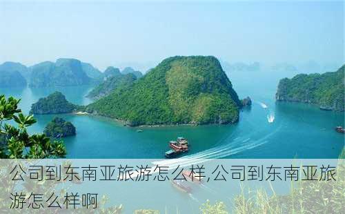 公司到东南亚旅游怎么样,公司到东南亚旅游怎么样啊