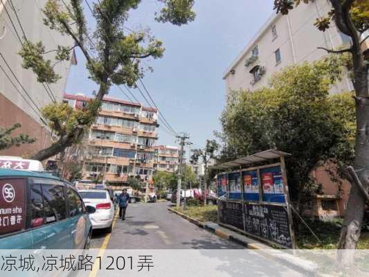 凉城,凉城路1201弄