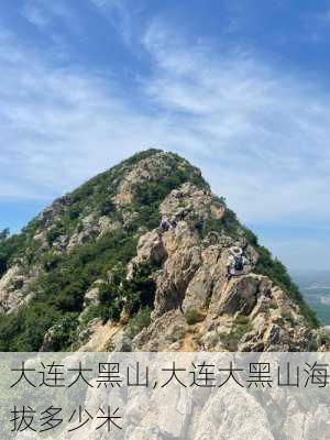 大连大黑山,大连大黑山海拔多少米