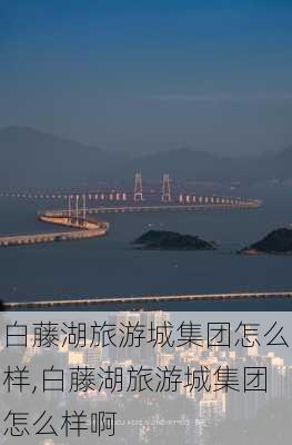 白藤湖旅游城集团怎么样,白藤湖旅游城集团怎么样啊