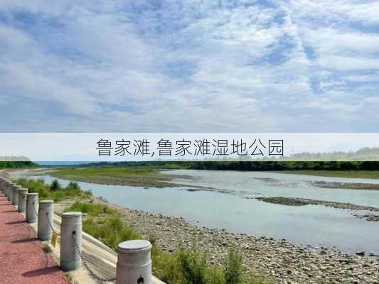 鲁家滩,鲁家滩湿地公园