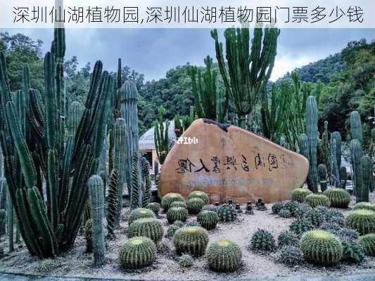 深圳仙湖植物园,深圳仙湖植物园门票多少钱